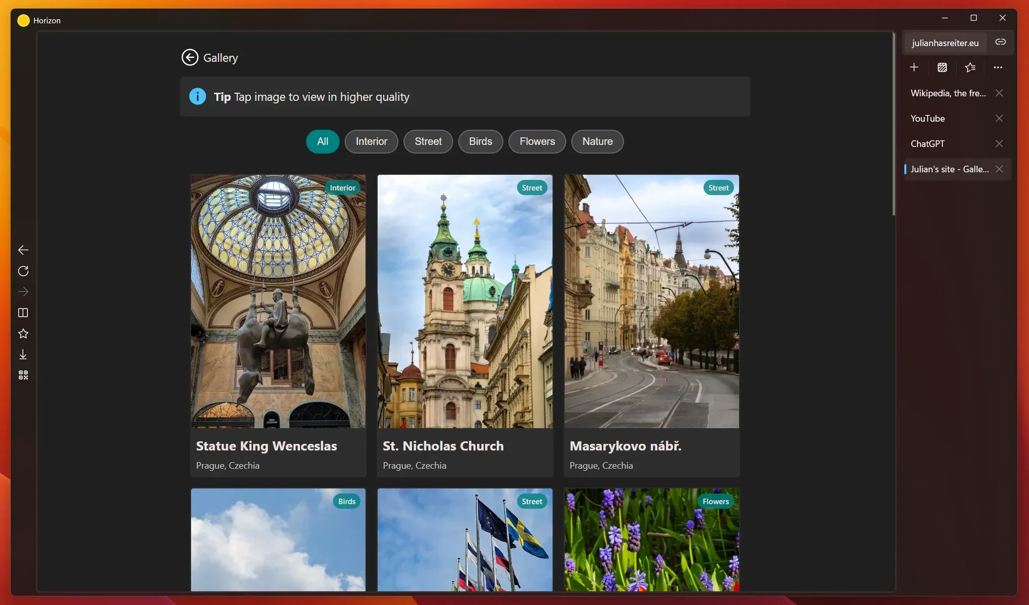 Horizon Browser Interface